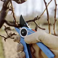 Entretien de jardin 
